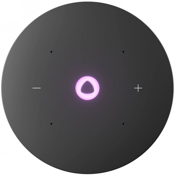 Умная колонка Яндекс Станция Мини 3 Про с Алисой с Zigbee, серый в Нижневартовске