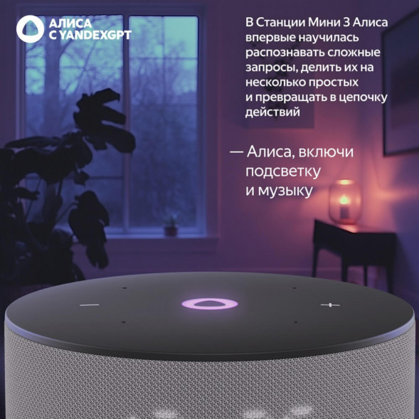Умная колонка Яндекс Станция Мини 3 c Алисой на YandexGPT, серая в Нижневартовске