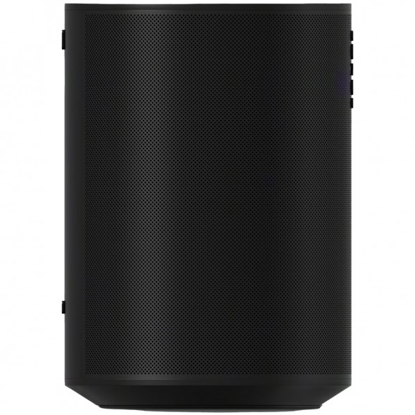 Умная колонка Sonos Era 100, черный в Нижневартовске