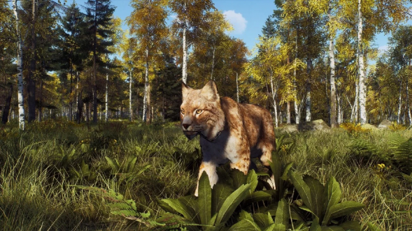 Игра Way of the Hunter: Wild Expeditions [PS5, русские субтитры] в Нижневартовске