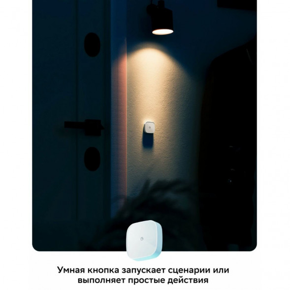 Умная кнопка Sber SBDV-00032 в Нижневартовске