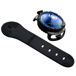Фонарь для собак Orbiloc Dog Dual Signal Colours, синий