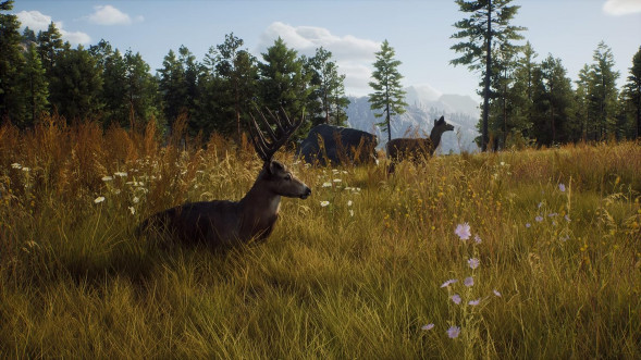 Игра Way of the Hunter [PS5, русские субтитры] в Нижневартовске