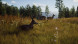 Игра Way of the Hunter [PS5, русские субтитры] в Нижневартовске