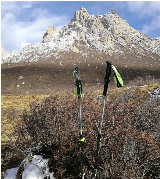 Треккинговая палка Naturehike 135 см, 1шт., серый/зеленый в Нижневартовске