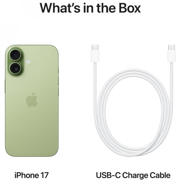 Смартфон Apple iPhone 17 512GB eSim, Sage в Нижневартовске