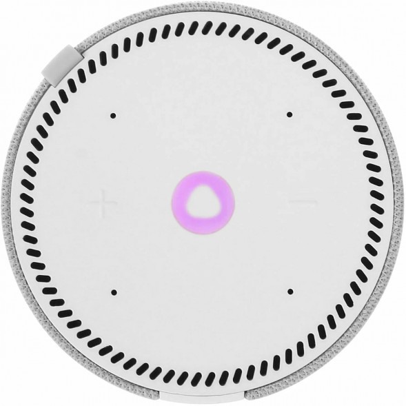 Умная колонка Яндекс Станция Мини (без часов), cерый опал в Нижневартовске