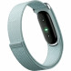 Фитнес-браслет Google Fitbit Air (Серо-голубой/Fog) в Нижневартовске