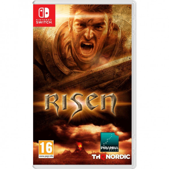 Игра Risen [Nintendo Switch, русская версия] в Нижневартовске
