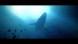 Игра Under The Waves [PS4, русские субтитры] в Нижневартовске