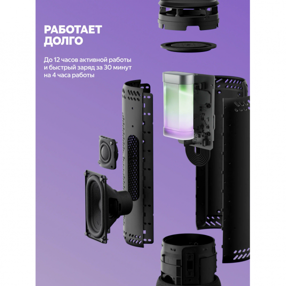 Умная портативная колонка Яндекс Станция Стрит с Алисой, черный в Нижневартовске