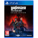 Игра Wolfenstein Youngblood Deluxe Edition [PS4, русская версия] в Нижневартовске