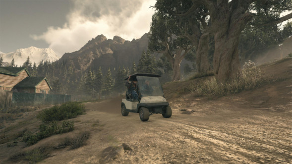 Игра Жизнь После (Days Gone) [PS4, русская версия] в Нижневартовске