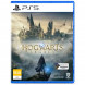 Игра Hogwarts Legacy. Exclusive DLC Astronomers Hat [PS5, русские субтитры] в Нижневартовске
